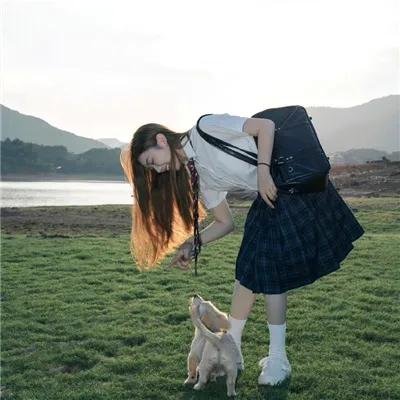 安卡